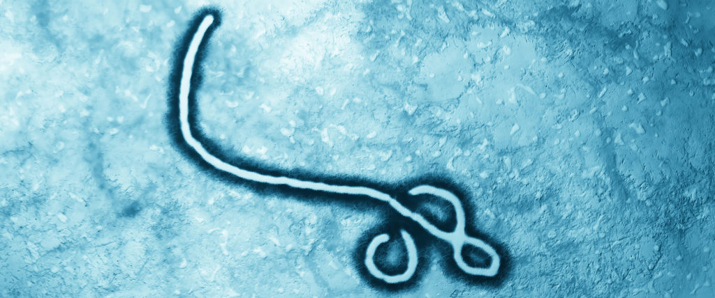 埃博拉病毒专用出口：感染控制和医院出口